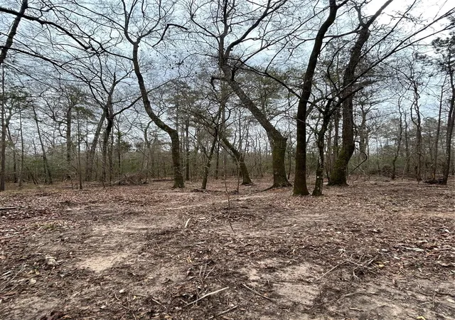 Photo 3 of Land for sale at 11885 Dawn Tree Ln, Willis, TX 77378 | MLS# 64252717 | Listing updated on 2026-06-10