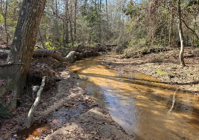 Photo 3 of Land for sale at 11885 Dawn Tree Ln, Willis, TX 77378 | MLS# 64252717 | Listing updated on 2026-06-10