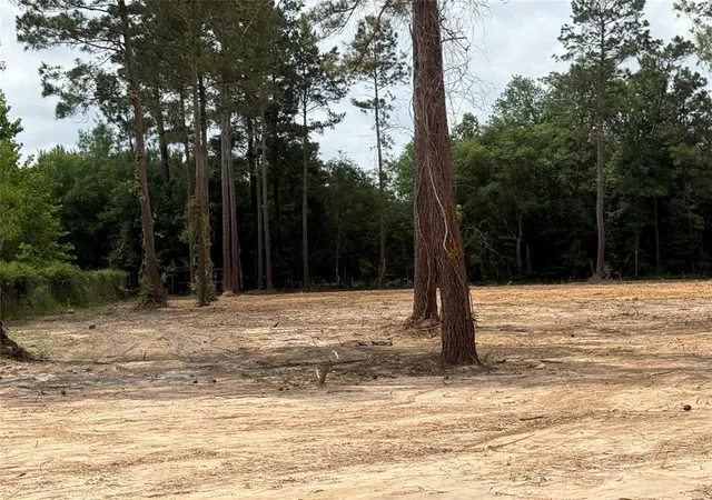 Photo 3 of Land for sale at 848 County Road 3679 J, Cleveland, TX 77327 | MLS# 56587234 | Listing updated on 2026-07-29