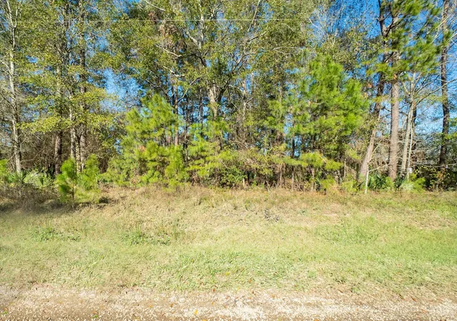 10th image of 1928 County Road 3434 N, Cleveland, TX 77327 | MLS# 59237801