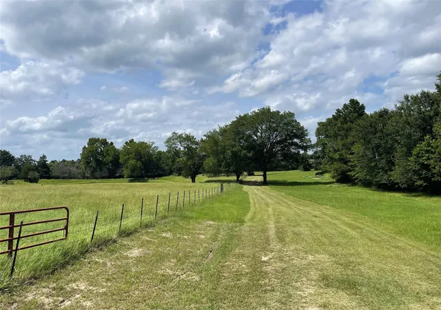 Homes for sale in Oakwood, TX | 1666 Us Hwy 84, Oakwood, TX 75855 | MLS# 1082348