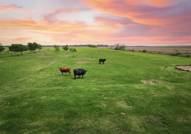 1st image of 8007 County Road 170, Alvin, TX 77511 | MLS# 47364024