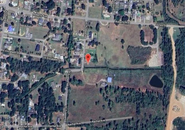 Photo 3 of Land for sale at 445 Blueberry St, Bridge City, TX 77611 | MLS# 57102068 | Listing updated on 2026-10-05