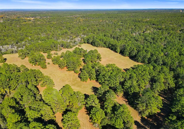 1st image of Tbd Chandler Ln, Huntsville, TX 77320 | MLS# 19884225