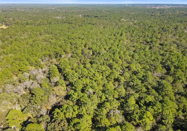 Photo 3 of Land for sale at Tbd Chandler Ln, Huntsville, TX 77320 | MLS# 19884225 | Listing updated on 2026-08-10