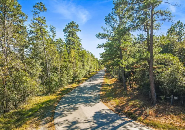 Photo 3 of Land for sale at Tbd Chandler Ln, Huntsville, TX 77320 | MLS# 19884225 | Listing updated on 2026-08-10