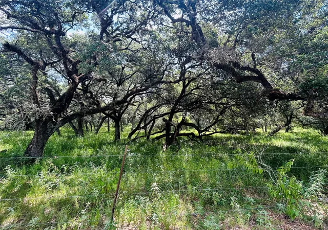 Photo 4 of Land for sale at 000 Sandy Crk, Garwood, TX 77442 | MLS# 48916654 | Listing updated on 2026-07-13