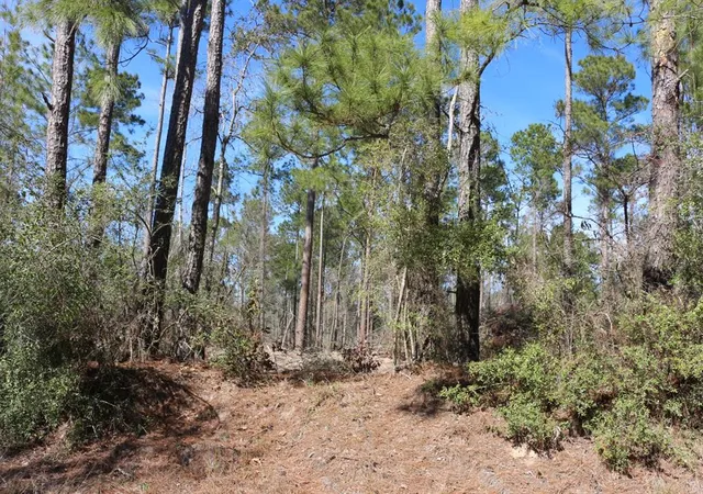 3rd image of 5-2 N Hwy 356, Onalaska, TX 77360 | MLS# 44748278