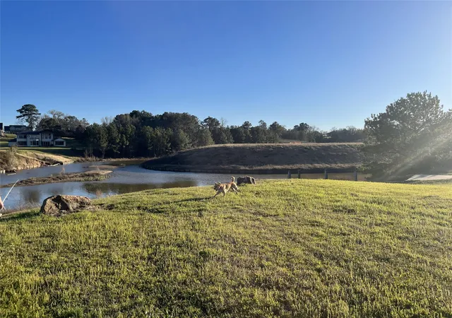 Photo 2 of Land for sale at 11685 Grandview Dr, Montgomery, TX 77356 | MLS# 77904010 | Listing updated on 2026-08-26