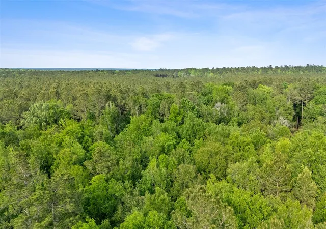 Photo 3 of Land for sale at Fm 222 Tbd Fm 222, Shepherd, TX 77371 | MLS# 48225503 | Listing updated on 2026-05-07