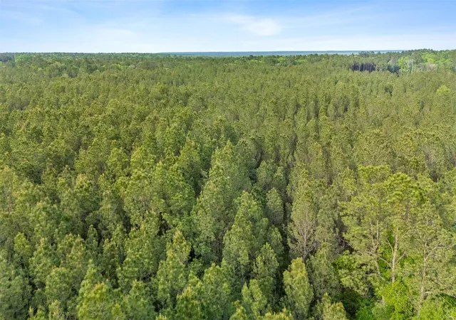 Photo 4 of Land for sale at Fm 222 Tbd Fm 222, Shepherd, TX 77371 | MLS# 48225503 | Listing updated on 2026-05-07