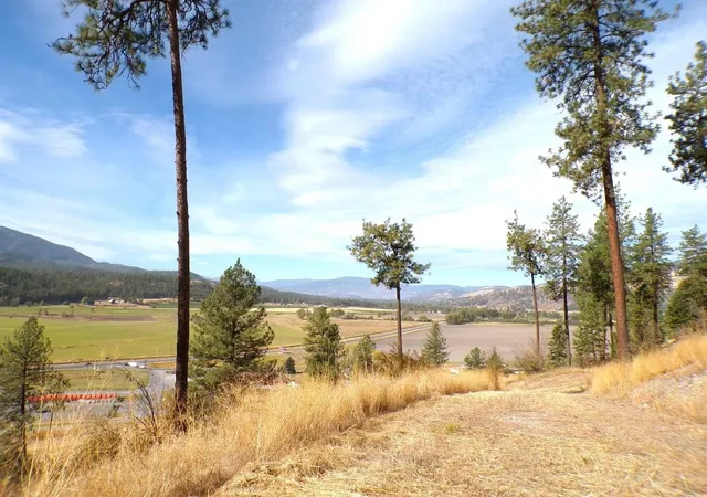31st image of 2xx Hwy 395 Hwy, Colville, WA 99114 | MLS# 202224766