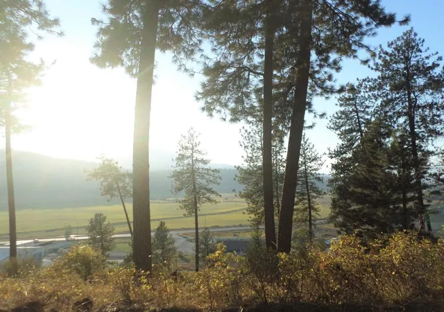 5th image of 2Xx Hwy 395 N #A Hwy, Colville, WA 99114 | MLS# 202315962