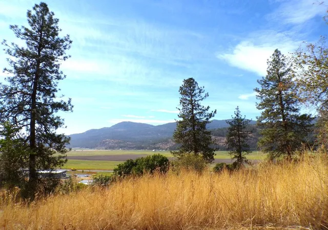 Homes for sale in Colville, WA | 2xx N Hwy 395 #b Hwy, Colville, WA 99141 | MLS# 202315967
