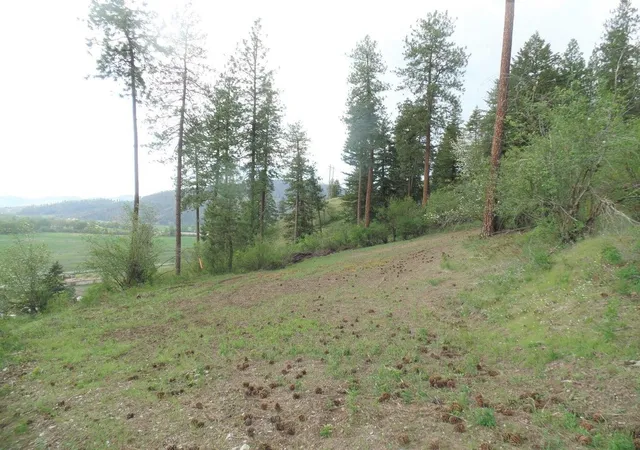 Homes for sale in Colville, WA | 2Xx N Hwy 395 #B Hwy, Colville, WA 99141 | MLS# 202315967