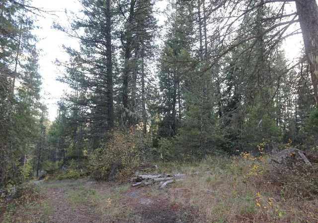 1st image of 7289 Fertile Valley Rd, Newport, WA 99156 | MLS# 202322807
