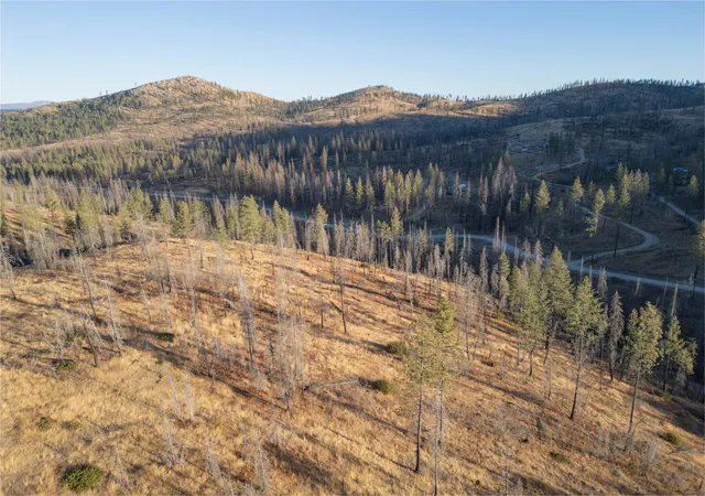 Homes for sale in Springdale, WA | Lot 11 Rail Canyon Rd, Springdale, WA 99173 | MLS# 202413843
