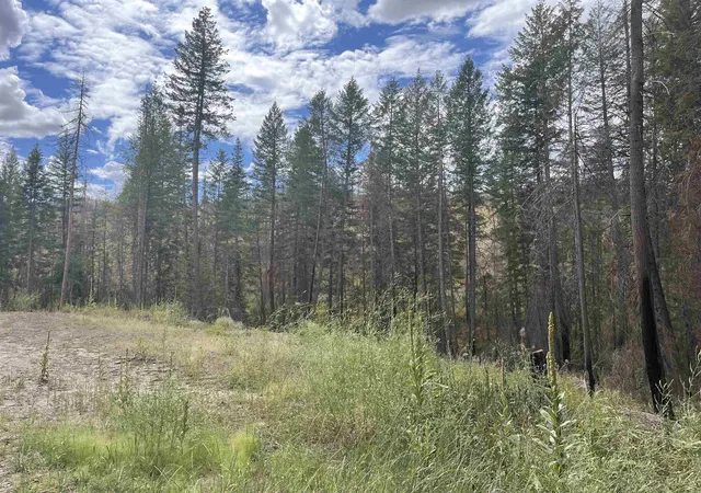 Homes for sale in Springdale, WA | Lot 11 Rail Canyon Rd, Springdale, WA 99173 | MLS# 202413843