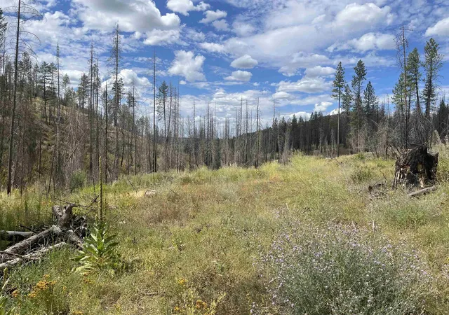 Homes for sale in Springdale, WA | Lot 12 Rail Canyon Rd, Springdale, WA 99173 | MLS# 202413845