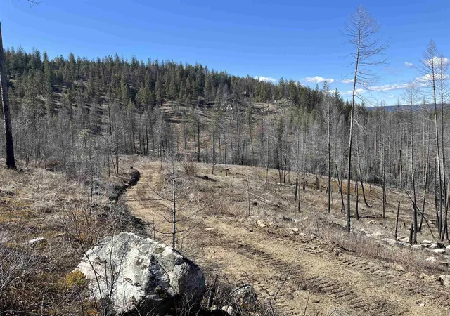 Homes for sale in Springdale, WA | Lot 1 Rail Canyon Rd, Springdale, WA 99173 | MLS# 202413849