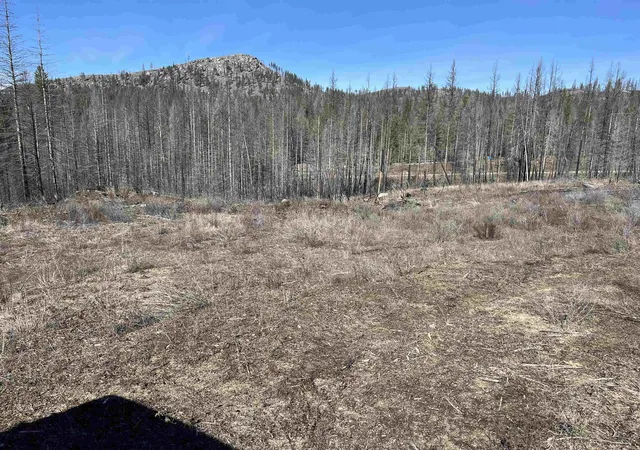 Homes for sale in Springdale, WA | Lot 1 Rail Canyon Rd, Springdale, WA 99173 | MLS# 202413849