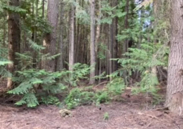 Photo 1 of Land for sale at Nka Leslie Crk Rd, Chewelah, WA 99109 | MLS# 202423888 | Listing updated on 2025-12-30