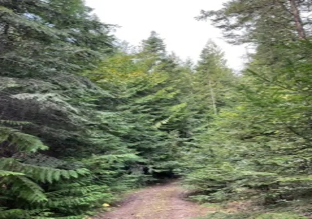 Photo 2 of Land for sale at Nka Leslie Crk Rd, Chewelah, WA 99109 | MLS# 202423888 | Listing updated on 2025-12-30