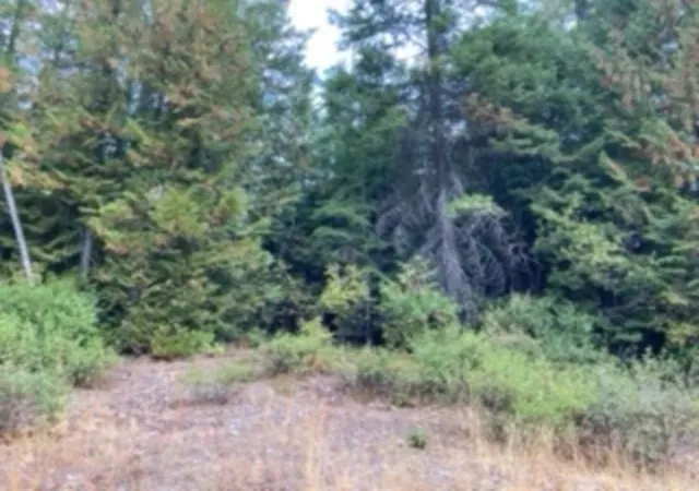 Photo 3 of Land for sale at Nka Leslie Crk Rd, Chewelah, WA 99109 | MLS# 202423888 | Listing updated on 2025-12-30