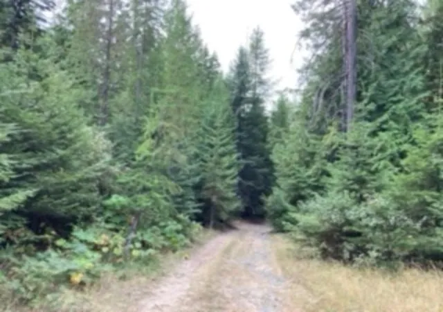 Photo 4 of Land for sale at Nka Leslie Crk Rd, Chewelah, WA 99109 | MLS# 202423888 | Listing updated on 2025-12-30