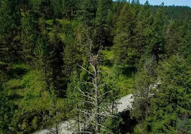 22nd image of 24269 E Liberty Creek Rd, Liberty Lake, WA 99019 | MLS# 202510518