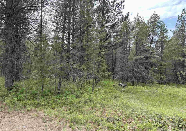Photo 1 of Land for sale at Xxx N Division Rd, Deer Park, WA 99006 | MLS# 202513748 | Listing updated on 2026-08-26