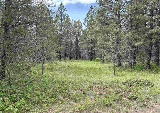 Photo 2 of Land for sale at Xxx N Division Rd, Deer Park, WA 99006 | MLS# 202513748 | Listing updated on 2026-08-26