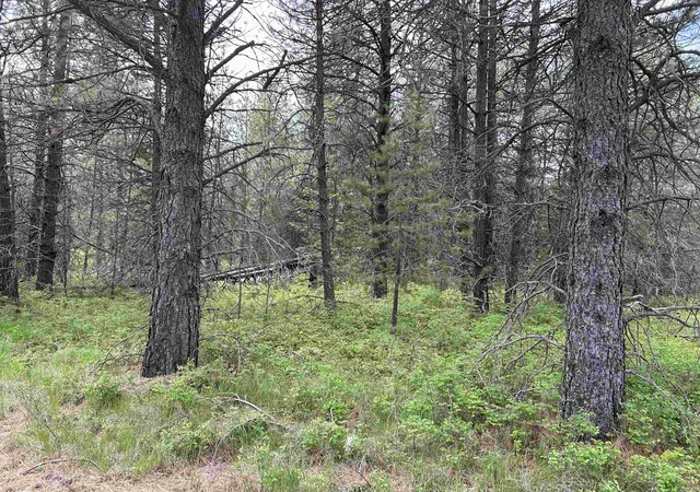 Photo 3 of Land for sale at Xxx N Division Rd, Deer Park, WA 99006 | MLS# 202513748 | Listing updated on 2026-08-26