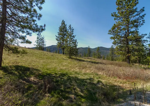 Photo 1 of Land for sale at 1622 Palmer Loop, Chewelah, WA 99109 | MLS# 202515356 | Listing updated on 2026-09-19