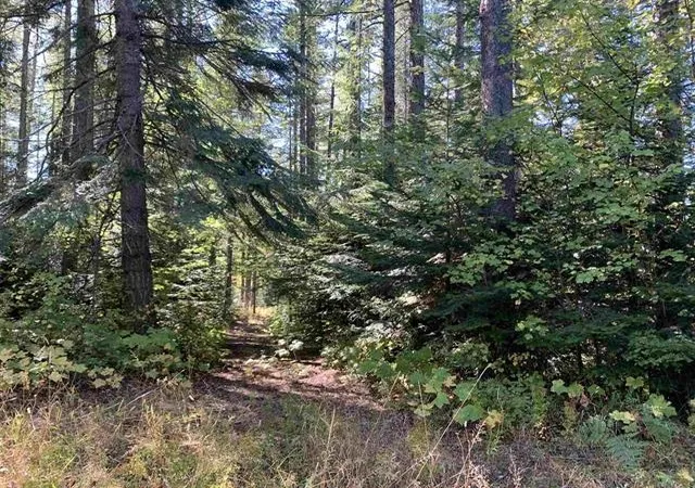 Photo 3 of Land for sale at 17616 E Tallman Rd, Chattaroy, WA 99003 | MLS# 202520414 | Listing updated on 2026-09-13