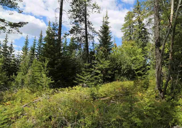 Photo 3 of Land for sale at 17616 E Tallman Rd, Chattaroy, WA 99003 | MLS# 202520414 | Listing updated on 2026-09-13