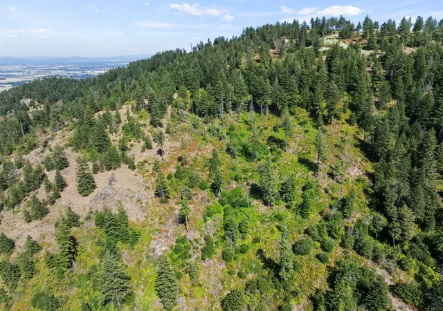 4th image of 6671 Blue Ridge Way, Deer Park, WA 99006 | MLS# 202520929