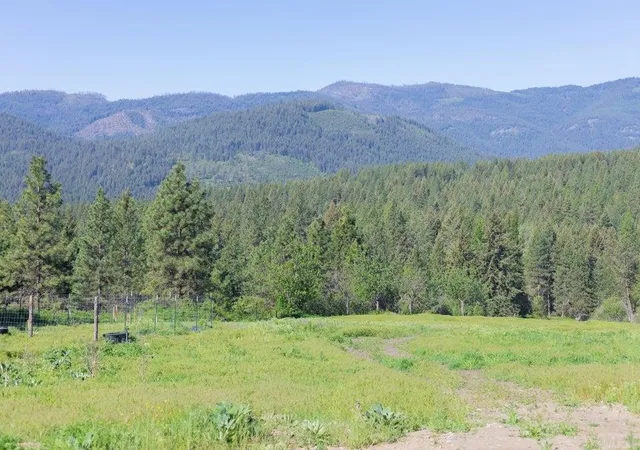 31st image of 360 Barnaby Creek Rd, Inchelium, WA 99138 | MLS# 202521442