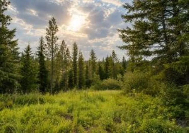 Photo 1 of Land for sale at 4xx #u Buffy Ln, Inchelium, WA 99138 | MLS# 202521475 | Listing updated on 2026-07-16