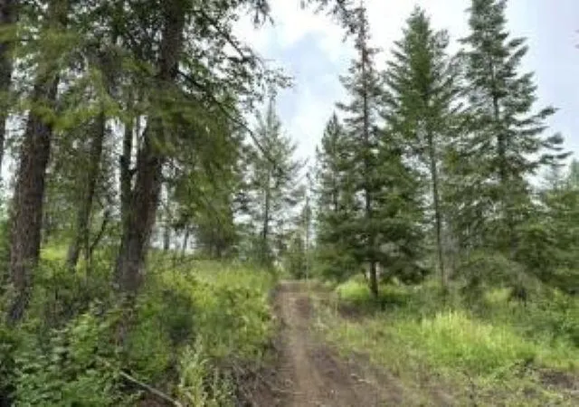 Photo 3 of Land for sale at 4xx #u Buffy Ln, Inchelium, WA 99138 | MLS# 202521475 | Listing updated on 2026-07-16