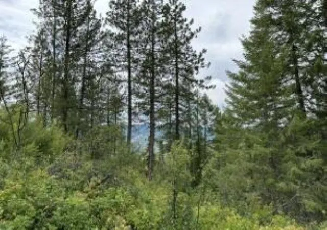 Photo 3 of Land for sale at 4xx #u Buffy Ln, Inchelium, WA 99138 | MLS# 202521475 | Listing updated on 2026-07-16