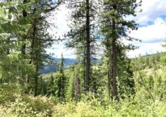 Photo 4 of Land for sale at 4xx #u Buffy Ln, Inchelium, WA 99138 | MLS# 202521475 | Listing updated on 2026-07-16