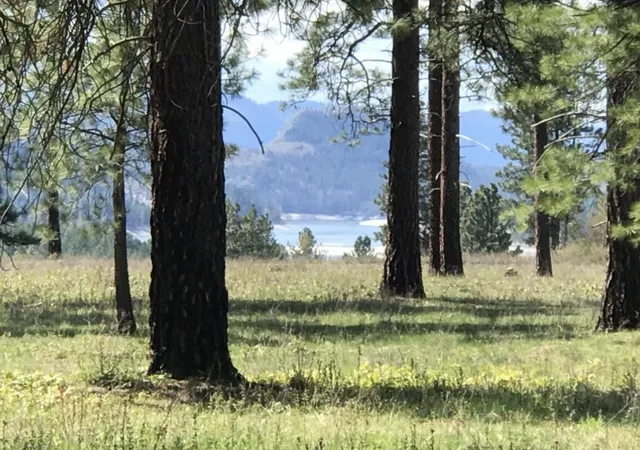 Homes for sale in Northport, WA | X S Of Hwy W 200' Gov Lot 4 Hwy, Northport, WA 99157 | MLS# 202522729
