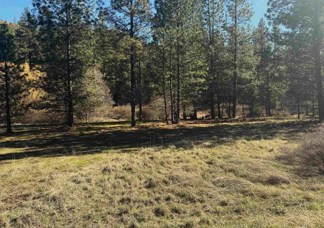 Homes for sale in Davenport, WA | 32900 N Hawk Creek Ranch Rd, Davenport, WA 99122 | MLS# 202523473