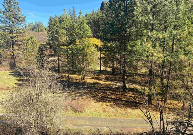 Homes for sale in Davenport, WA | 32900 N Hawk Creek Ranch Rd, Davenport, WA 99122 | MLS# 202523473
