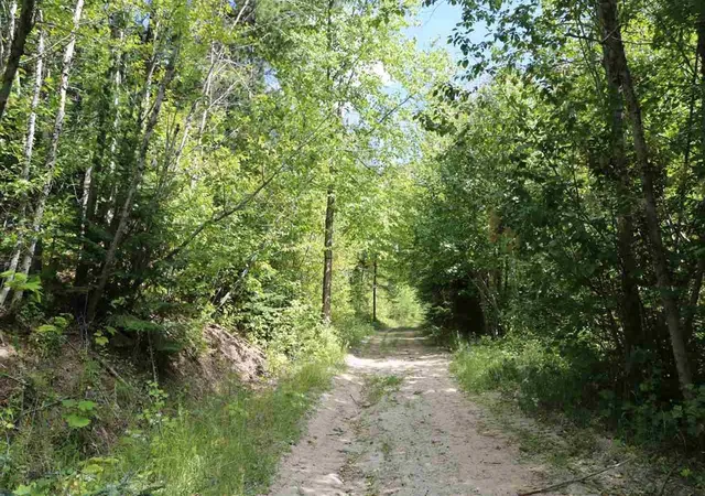 Photo 2 of Land for sale at 176xx E Tallman Rd, Chattaroy, WA 99003 | MLS# 202525253 | Listing updated on 2026-09-13