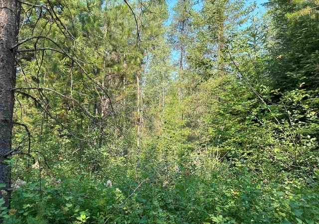 16th image of 7398 Cottonwood Rd, Wellpinit, WA 99040 | MLS# 202525487