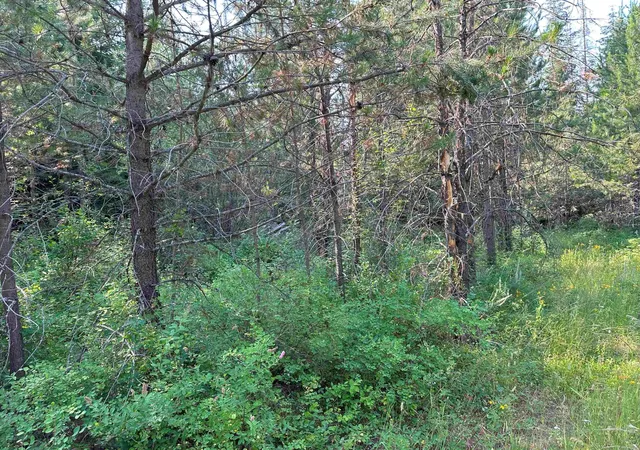 Photo 3 of Land for sale at 7398 Cottonwood Rd, Wellpinit, WA 99040 | MLS# 202525487 | Listing updated on 2026-08-12