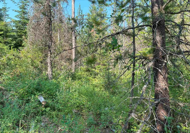 Photo 4 of Land for sale at 7398 Cottonwood Rd, Wellpinit, WA 99040 | MLS# 202525487 | Listing updated on 2026-08-12