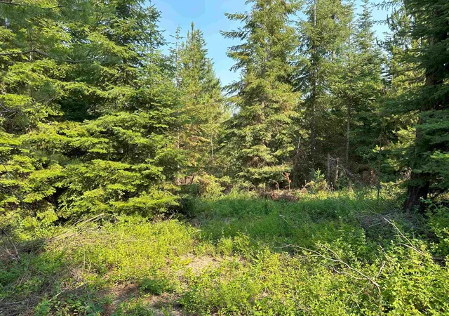 1st image of 7398 Cottonwood Rd, Wellpinit, WA 99040 | MLS# 202525487